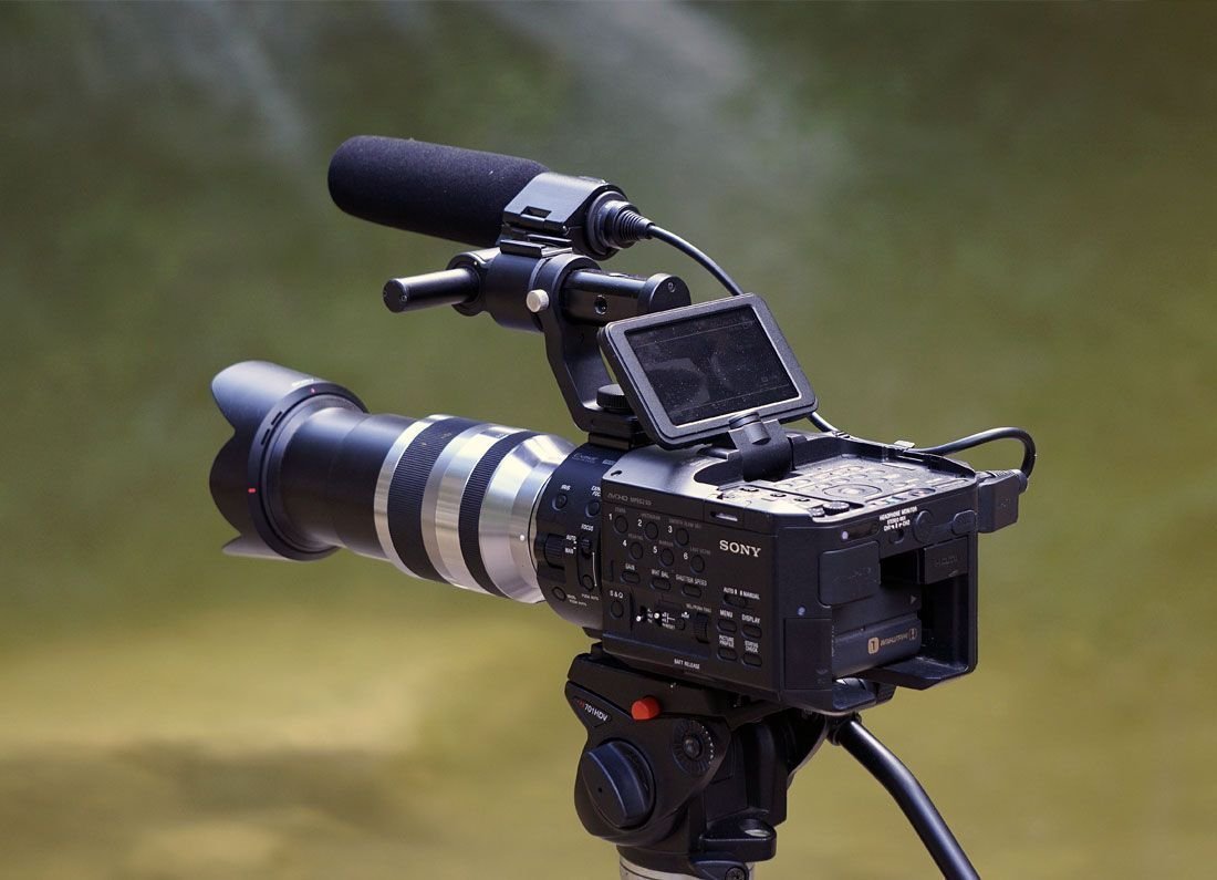 3 Things Everyone Knows About wildlife camera That You Don\'t wildlife camera